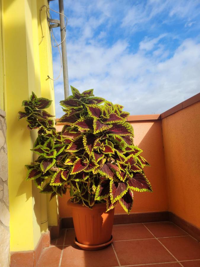 Butterflyhouse Villa Monserrato Luaran gambar
